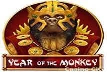 Year of the Monkey Slot Review